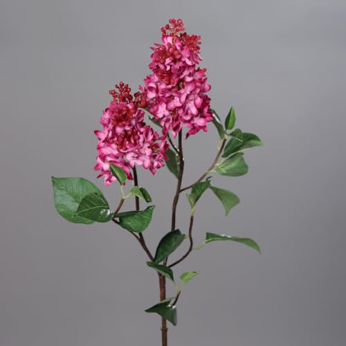 Fliederzweig mit 2 Dolden 90cm DP Kunstblumen Seidenblumen künstlicher Flieder Syringa Zweige Blumen (Fuchsia) von Seidenblumen Roß