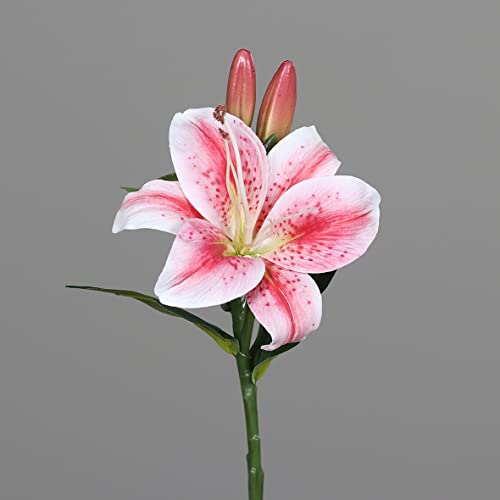 Seidenblumen Roß Lilie/Tigerlilie Real Touch 36cm rosa-pink DP Kunstblumen künstliche Blume künstlicher Lilienzweig von Seidenblumen Roß