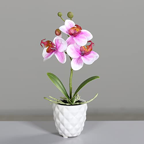 Mini Orchidee Real Touch 24cm im weißen Keramiktopf DP künstliche Blumen Orchideen Kunstpflanze (Pink-Weiß) von Seidenblumen Roß