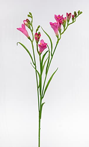 Seidenblumen Roß Freesie 65cm FT Kunstblumen künstliche Blumen Freesia Schwertlilie (Rosa-Pink) von Seidenblumen Roß