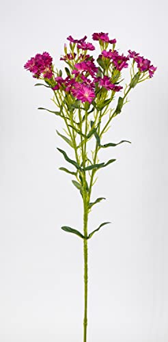 Seidenblumen Roß Kartäuser-Nelke/Dianthus 74cm Fuchsia CG Kunstblumen künstliche Blumen Nelkenzweig von Seidenblumen Roß
