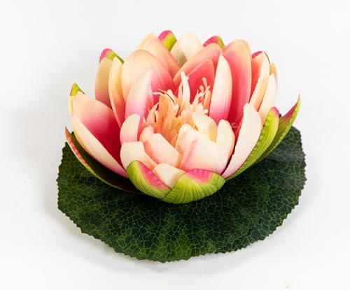 Seidenblumen Roß Lotusblüte/Seerose 17x15cm JA Kunstblumen künstliche Blumen Rose Schwimmrose Lotus Nymphaea (Rosa-Pink) von Seidenblumen Roß