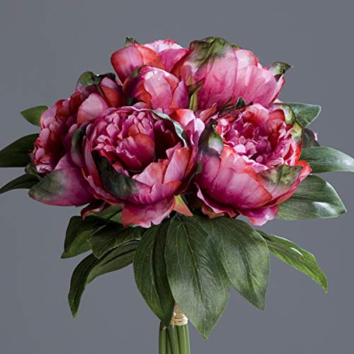 Seidenblumen Roß Pfingstrosenbund mit 8 Blüten 36cm Fuchsia DP Kunstlbumen künstliche Pfingstrosen Strauß von Seidenblumen Roß