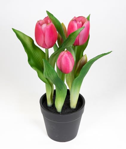 Seidenblumen Roß Tulpen Real Touch 24cm im Topf ZF Kunstpflanzen künstliche Pflanzen Tulpentopf (Rosa-Pink) von Seidenblumen Roß