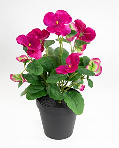 Stiefmütterchen 30cm im Topf FT Kunstpflanzen künstliche Veilchen Blumen Kunstblumen (Fuchsia-pink) von Seidenblumen Roß