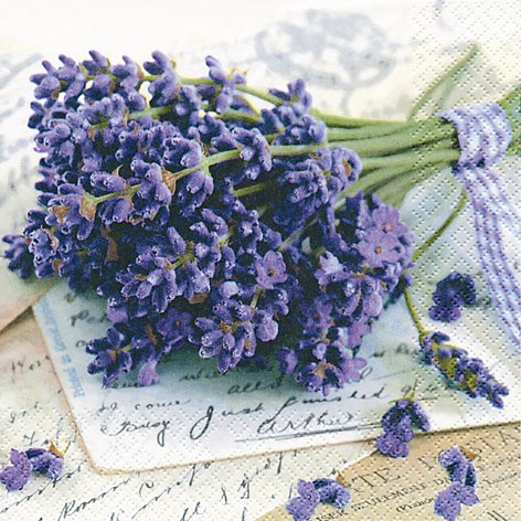 20 Servietten Lavender Greetings Lavendel gr??t 33x33cm von Servietten Blumen