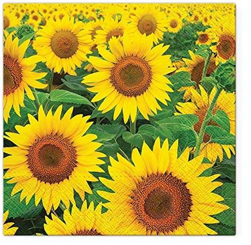 Servietten Blumen 20 Servietten Großes Feld an Sonnenblumen | Blumen | Blätter | Garten | floral | Blumenmotiv | Sommer | Herbst | Tischdeko 33x33cm von Servietten Blumen