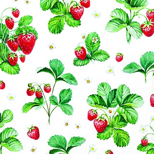 20 Servietten Muster an Erdbeeren | Garten | Essen | Tischdeko 33x33cm von Servietten Essen und Trinken