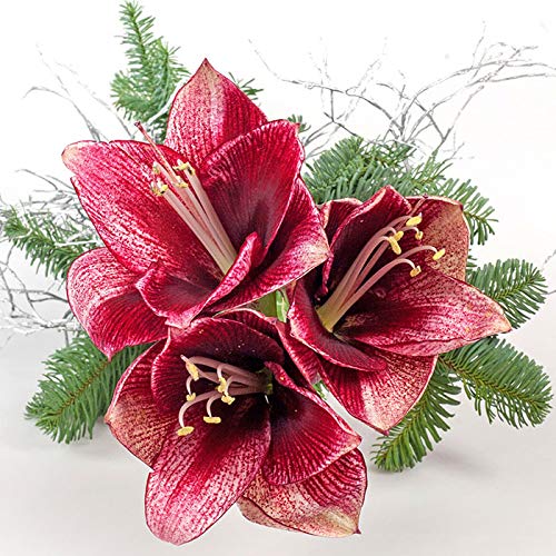 20 Servietten Christrose/Blumen/Natur/Winter/Weihnachten 33x33cm von Servietten Weihnachten