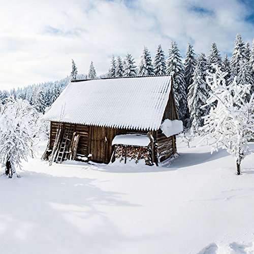 20 Servietten Holzh?tte im Winterwald | Wald | Schnee | Winter | Weihnachten 33x33cm von Servietten Weihnachten