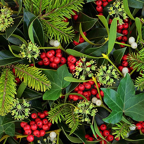20 Servietten Versteckte Winterbeeren | Zweige | Natur | Winter | Weihnachten | Tischdeko 33x33cm von Servietten Weihnachten