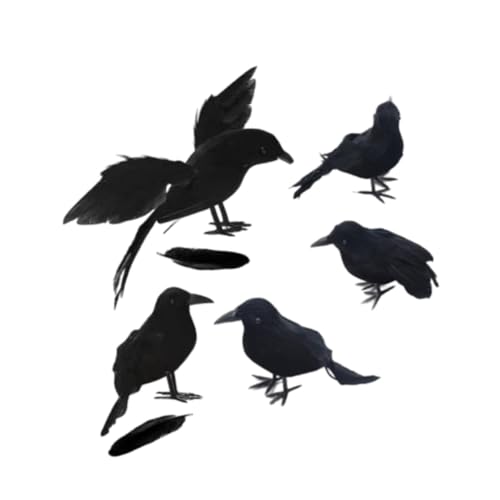Sharplace Halloween Deko Krähen Party Set Schwarze Krähe Tiermodelle Basteln DIY Horror Party Dekorationen Statue Dekore für den Urlaub Sharplace Halloween Deko Krähen Party Set Schwarze Krähe Tiermodelle Basteln DIY Horror Party Dekorationen Statue Dekore für den Urlaub von Sharplace