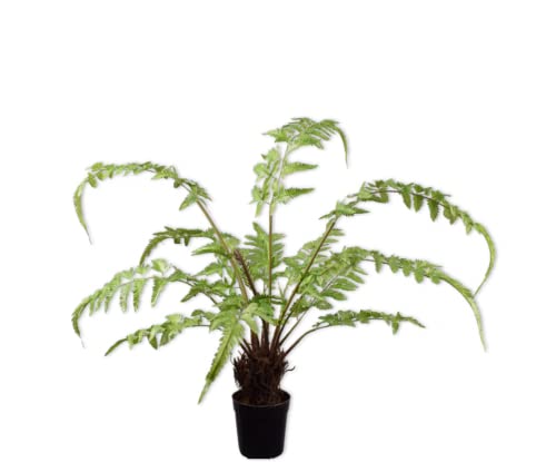 Silk-ka Kunstpflanze Farn Seidengrün 90 cm von Silk-ka