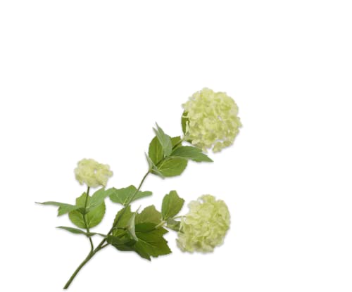 Silk-ka Seidenblume-Kunstblume Schneeballzweig Grün 61 cm von Silk-ka