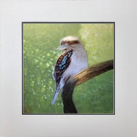 Königsseide Kunst Handarbeit Stickerei Natur Vogel Kookaburra 31155 von SilkartAustralia