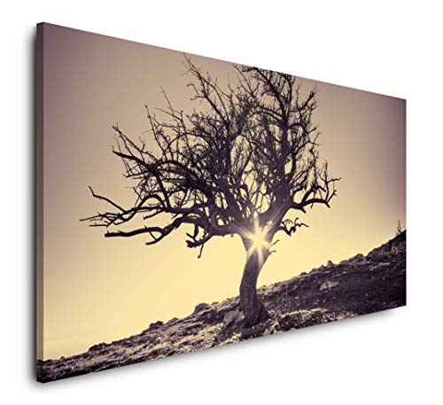 Baum im Winter 120x 60cm Panorama Leinwand Bild XXL Format Wandbilder Wohnzimmer Wohnung Deko Kunstdrucke Baum im Winter 120x 60cm Panorama Leinwand Bild XXL Format Wandbilder Wohnzimmer Wohnung Deko Kunstdrucke von Paul Sinus Art