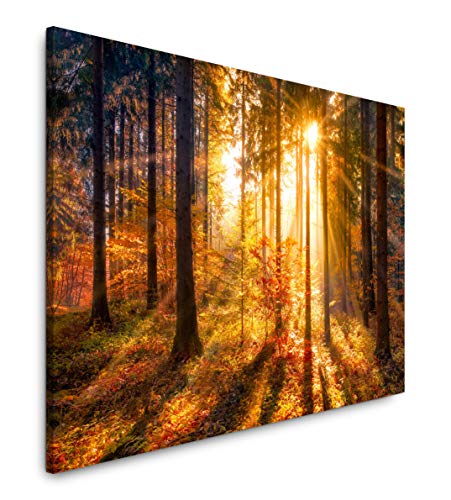 Paul Sinus Art Sonnendurchfluteter Herbstwald 100 x 70 cm Inspirierende Fotokunst in Museums-Qualität für Ihr Zuhause als Wandbild auf Leinwand in Paul Sinus Art Sonnendurchfluteter Herbstwald 100 x 70 cm Inspirierende Fotokunst in Museums-Qualität für Ihr Zuhause als Wandbild auf Leinwand in von Paul Sinus Art