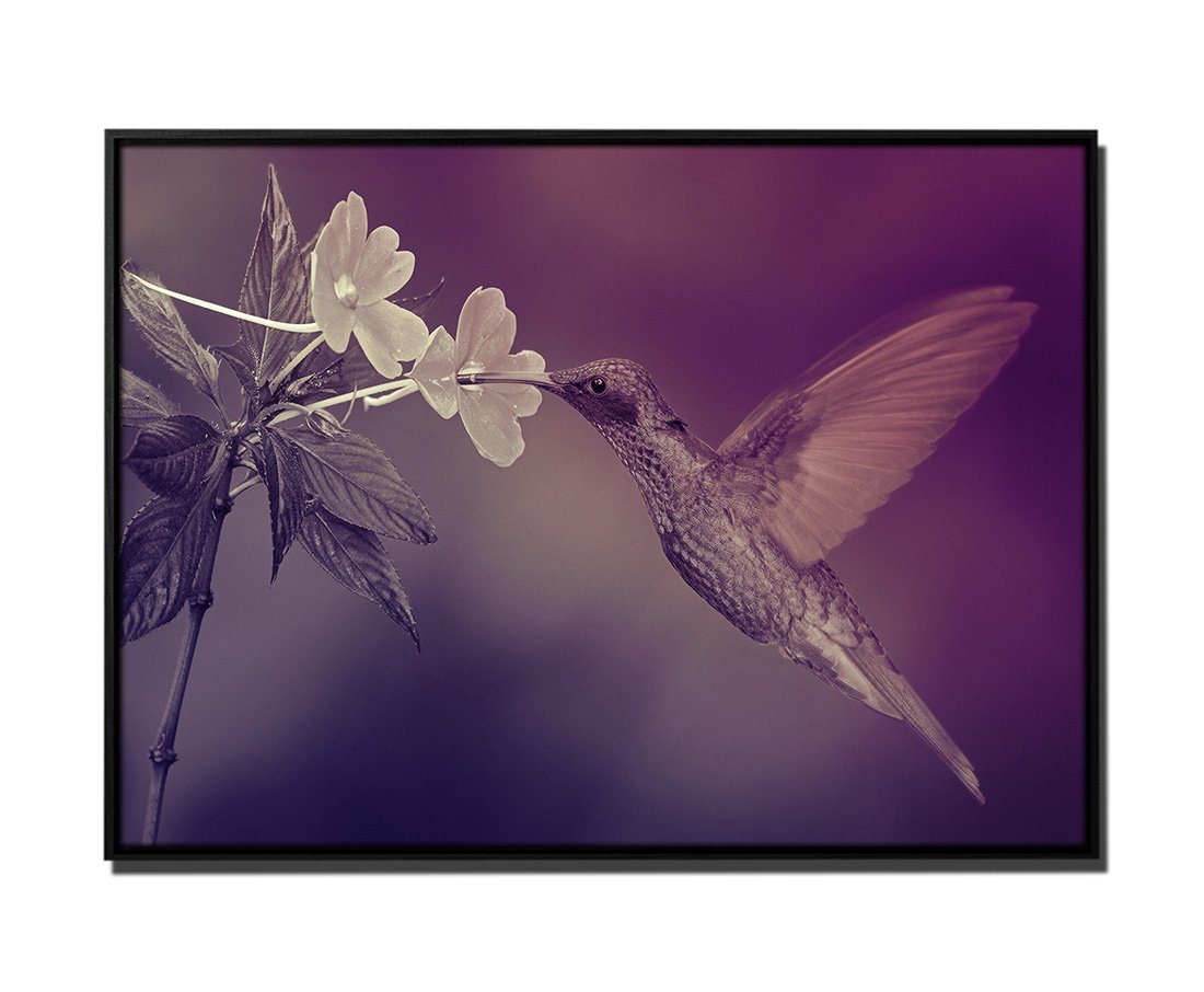 Sinus Art Leinwandbild 105x75cm Leinwandbild Petrol Natur Kolibri Blume von Sinus Art