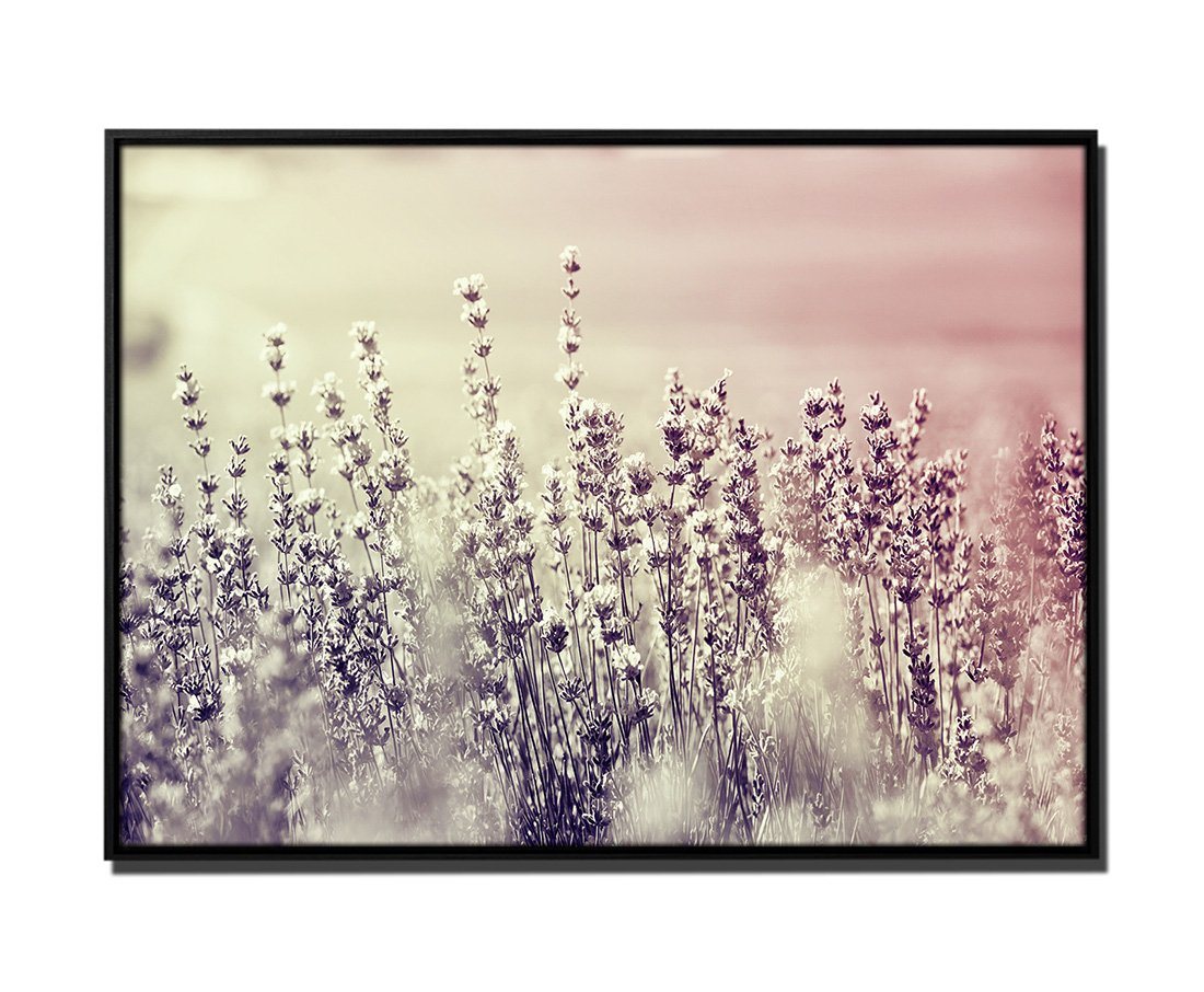 Sinus Art Leinwandbild 105x75cm Leinwandbild Petrol Natur Lavendel-Blumen von Sinus Art