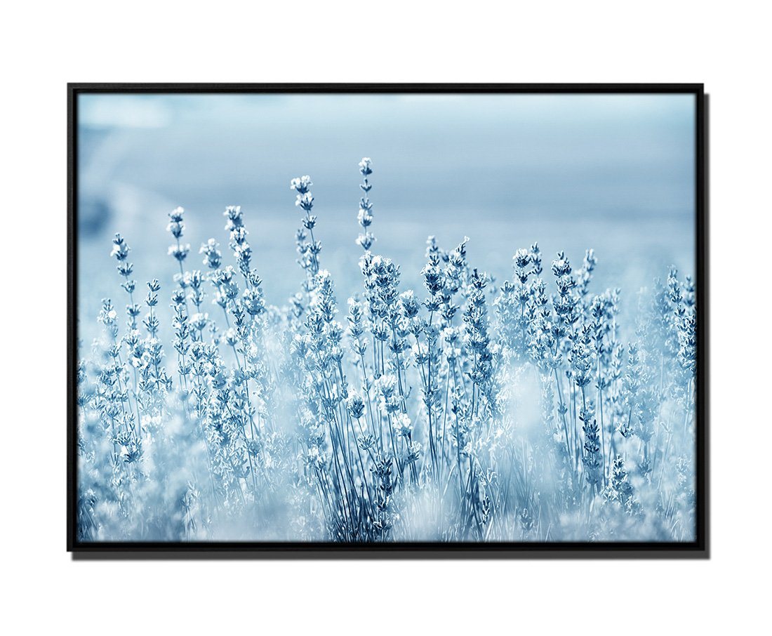 Sinus Art Leinwandbild 105x75cm Leinwandbild Petrol Natur Lavendel-Blumen von Sinus Art