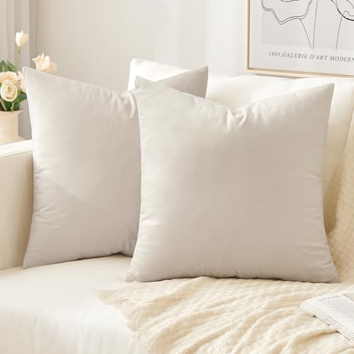 SLOZZI 2er Set Samt Kissenbezüge Haushalt Dekokissen Dekorative Kissenhülle Weich Sofakissen für Sofa Schlafzimmer Wohnzimmer 40x40 cm Creme Weiß von SLOZZI