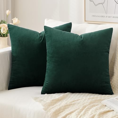 Slozzi 2er Set Samt Kissenbezüge Haushalt Dekokissen Dekorative Kissenhülle Weich Sofakissen für Sofa Schlafzimmer Wohnzimmer 40x40 cm Dunkelgrün von Slozzi