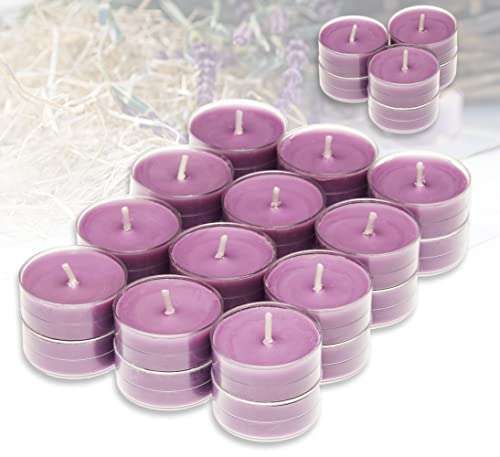 Candelo 24er Set Duft Kerzen - Duftteelichter Lavendel Vanille - Teelicht in Kunststoff Hülle je 1,7 x 3,8cm - 4 Std Brenndauer - Teelichter in Lila von Candelo