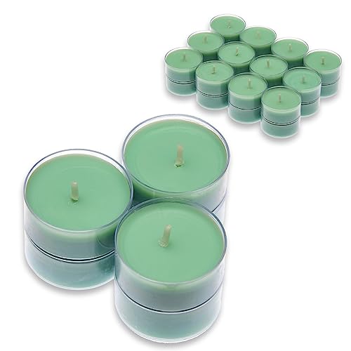Candelo 24er Set Duftteelichter - Duft Kerzen Fresh Cotton - Teelicht in Kunststoff Hülle je 1,7 x 3,8cm - 4 Std Brenndauer - Teelichter in Mint von Candelo