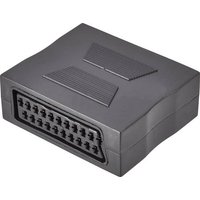 SpeaKa Professional SCART TV, Receiver Adapter [1x SCART-Buchse - 1x SCART-Buchse] Schwarz von SpeaKa Professional