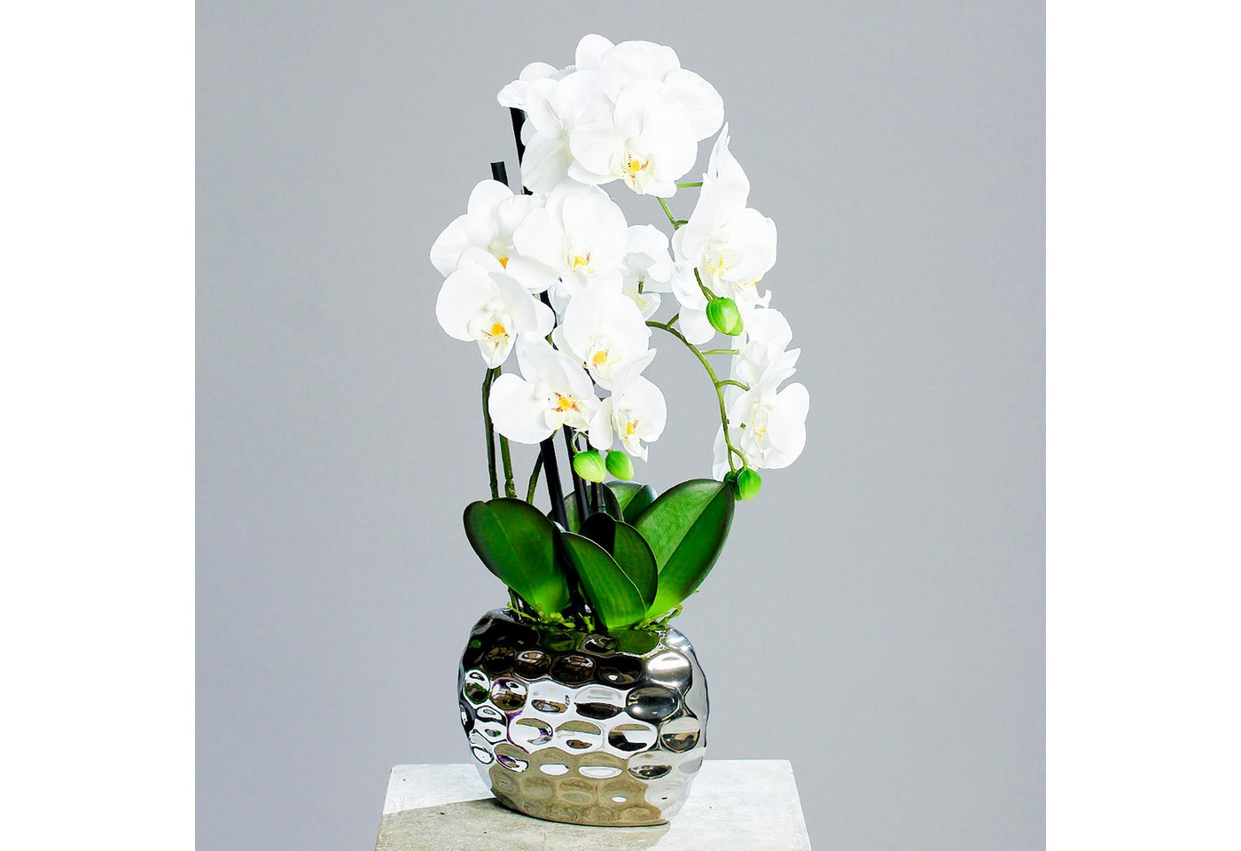 Kunstorchidee Kunst Orchidee in silberner Schale - 53 cm Orchidee, Spetebo, Höhe 53 cm, Dekoblume mit modernem Blumentopf von Spetebo