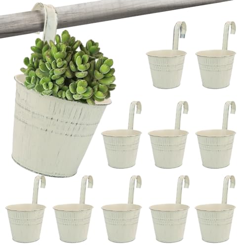 Sporgard 10 Stück 13,5 cm große Metall-Blumentöpfe zum Aufhängen, Landhausstil, Fenster-Blumen-Pflanzenhalter mit Haken, ideal für Geländer, Zaun, Balkon, Garten, Innen- und Außenbereich, von Sporgard