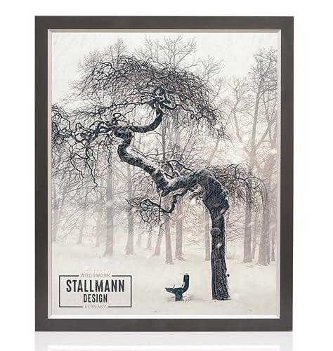 Stallmann Design 'My Frames' Bilderrahmen 20 x 40 cm | Farbe: Schwarz-Silber | eleganter Rahmen - schwarzes Finish - Kante silber Stallmann Design 'My Frames' Bilderrahmen 20 x 40 cm | Farbe: Schwarz-Silber | eleganter Rahmen - schwarzes Finish - Kante silber von Stallmann Design