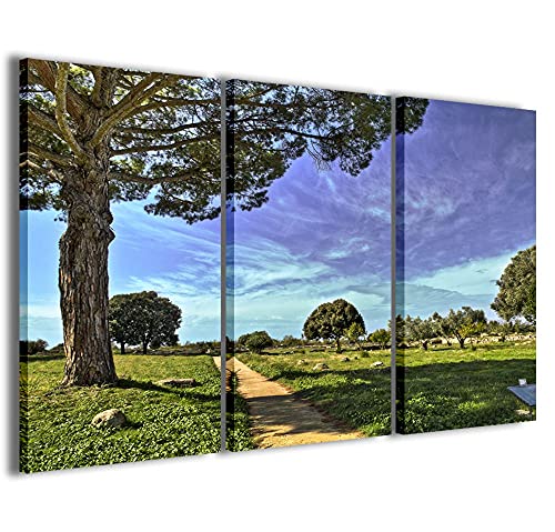 Stampe su Tela Bild Natur Color Moderne Leinwand aus 3 Paneelen, fertig gerahmt, Canvas, fertig zum Aufhängen, 90 x 60 cm von Stampe su Tela