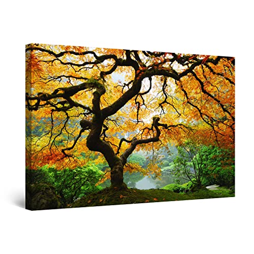 Startonight Bilder Ahorn im Herbst, Leinwandbilder Moderne Kunst, Natur Wanddeko Kunstdrucke, Wandbilder 60 x 90 cm, Tag Nacht Bild von Startonight