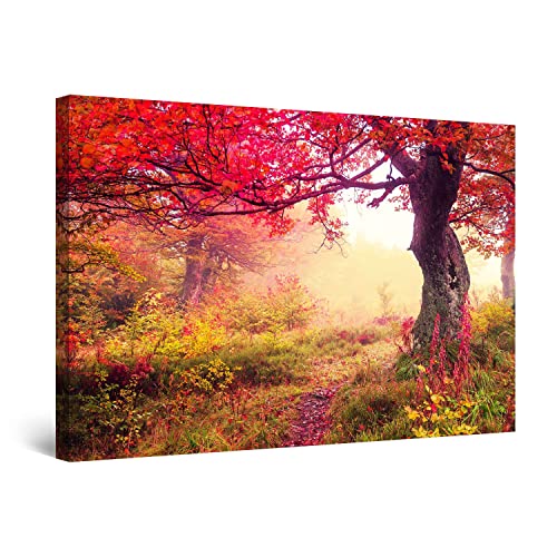 Startonight Bilder Feenhafte Landschaft im Roten Wald, Leinwandbilder Moderne Kunst, Natur Wanddeko Kunstdrucke, Wandbilder 60 x 90 cm, Tag Nacht Bild von Startonight