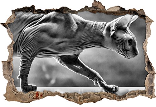 Monocrome, Einzigartige Sphynx Katze Wanddurchbruch im 3D-Look, Wand- oder Türaufkleber Format: 62x42cm, Wandsticker, Wandtattoo, Wanddekoration von Stil.Zeit