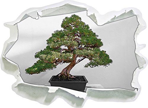 Stil.Zeit Bonsai Baum auf Holztisch schwarz/weiß, Papier 3D-Wandsticker Format: 92x67 cm Wanddekoration 3D-Wandaufkleber Wandtattoo von Stil.Zeit