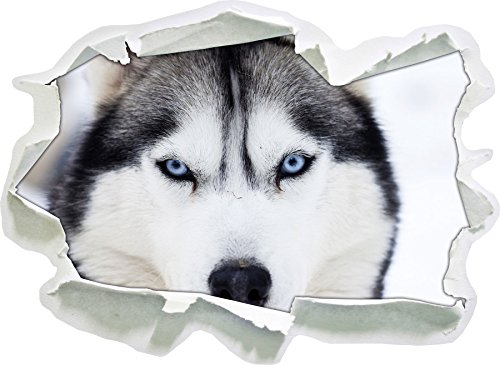 Stil.Zeit Husky, Papier 3D-Wandsticker Format: 92x67 cm Wanddekoration 3D-Wandaufkleber Wandtattoo von Stil.Zeit