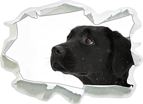 Stil.Zeit Schwarzer Labrador im Schnee, Papier 3D-Wandsticker Format: 62x45 cm Wanddekoration 3D-Wandaufkleber Wandtattoo von Stil.Zeit