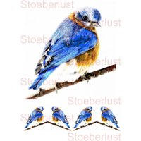 Wasserschiebefolie Laser Wasserfest 5 Blaue Vögel Auf A 4 Transparente Decalfolie Möbeltattoo Abziehbild von StoeberlustKreativ