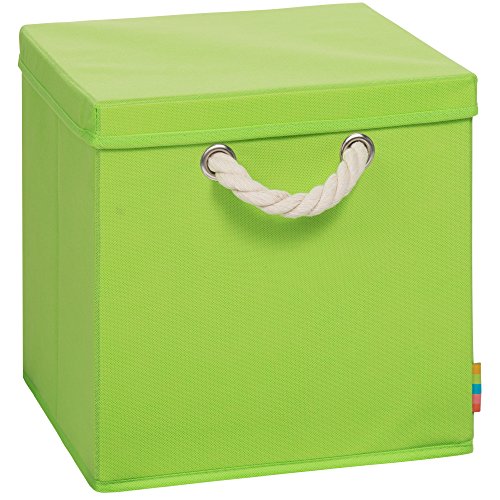 Storanda | Aufbewahrungsbox LEO + Deckel | Faltbox | Korb | 30x30x30 cm | (Apfelgrün) von Storanda