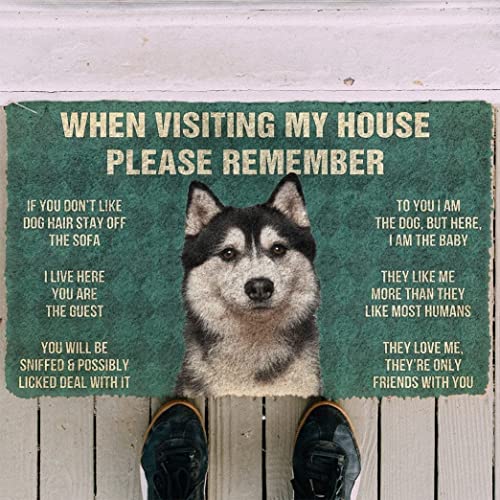 Fußmatte mit Husky-Hund – When Visiting My House Please Remembe Fußmatte für den Außenbereich, lustige Fußmatte, Herbst-Willkommens-Matten, niedliche Badezimmer-Fußmatte, Schuhmatte, Veranda, 50 x 80 von Strunt