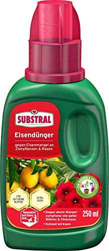 Substral Eisendünger, Flüssigdünger gegen Eisenmangel an Zierpflanzen und Rasen , für Gieß- und Spritzanwendung, 250 ml von Substral