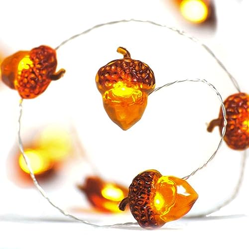 Eicheln lichterkette herbst,5M 50 LED Lichterkette,outdoorlichterkette batterie,Deko timerlichterkette herbst,Herbst Eichel Dekoratives Licht für Erntedankfest, Weihnachten, Hochzeit, Geburtstag Party von Sunshine smile