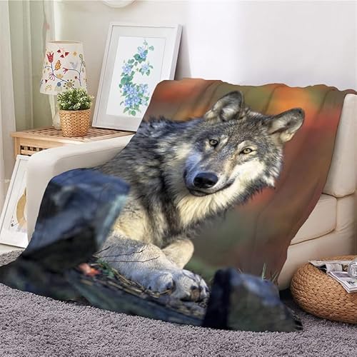 Kuscheldecke Flauschig Decke 220x240 Wolf Warm Flanell Fleecedecke Graues Tier für Sofa und Bett, Weich Gemütlich Wohndecke als Couchdecke Tagesdecke Kniedecke von Syhi Mdse