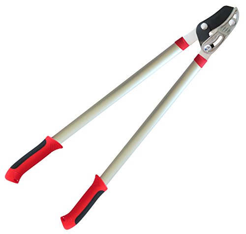 TABOR TOOLS GB30E Astschere für frisches und trockenes Holz, Schneidet Dicke Zweige mit Leichtigkeit, 350 mm Durchmesser Schnittleistung, Baum Trimmer mit leichten Aluminiumgriffe. von TABOR TOOLS