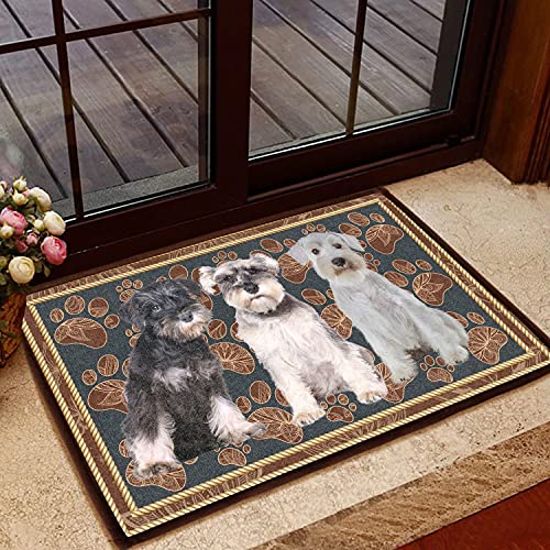 TIANTURNM Fussmatte Aussen Haustür Fußabtreter Zwergschnauzer Blumenpfote - Hund Fußmatte Willkommen Matte Home Decor Geschenk für Hundeliebhaber Lustige Fußmatte Geschenkidee deko Wohnzimmer 16"x24" von TIANTURNM