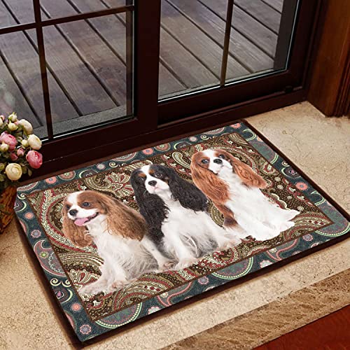 TIANTURNM Fussmatte Aussen Schöne Hund Paisley Muster Cavalier King Charles Spaniel Fußmatte Home Decor deko Wohnzimmer 16"x24" von TIANTURNM