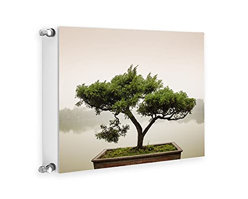 TMK Magnet Heizkörperabdeckung, Heizkörperverkleidung 60x60 cm, Baum von TMK ArtDeko