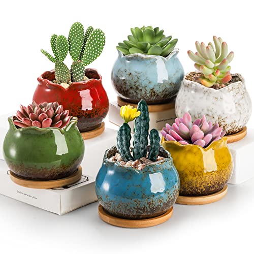 TOPZEA Set mit 6 Sukkulenten-Pflanzgefäßen, 10.2 cm glasierter Keramiktopf für Pflanze, Sukkulententopf mit Drainage und Untertasse, Mini-Bonsai-Pflanzgefäß, Blumentopf für Sukkulenten, Kaktus von TOPZEA
